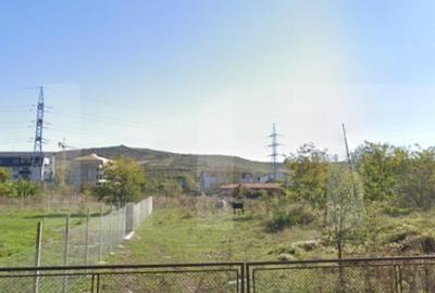 Teren intravilan 7,3 ari, zona Viisoara - 1
