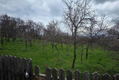 Casă cu 2 camere cu Teren 2270 Mp în Bosanci