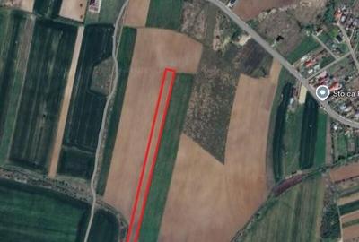 Teren intravilan Niculesti - 9.589 mp Dambovita - 2