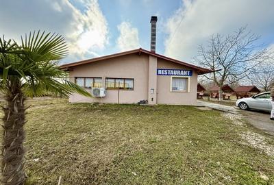 Domeniu comercial ideal pentru Logistica si Transport in Vama Bors - 10