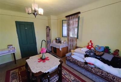 Casă individuală cu 8 camere cu Teren 3800 Mp în Răchitova - 26