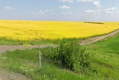 Teren intravilan de vanzare in Mihailesti pretabil dezvoltare imobiliara