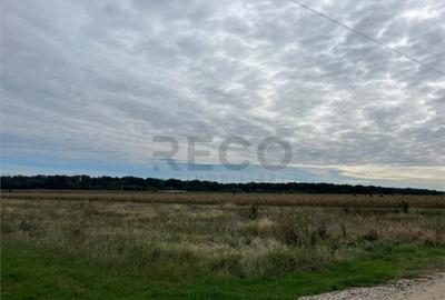 Teren de 500 mp, în Cihei - 3