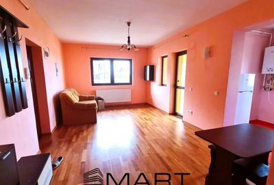 Apartament cu 2 camere semidecomandat în Tilișca - 16