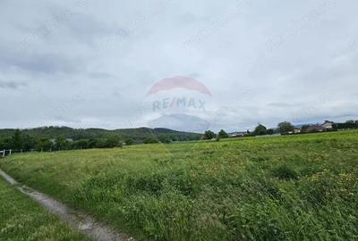 Teren de 1495 mp, în Dobreni - 11