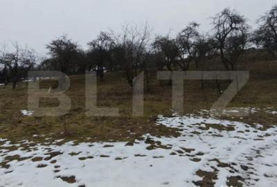 Teren de 1268 mp, în Mihai Viteazu - 3