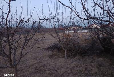 Spațiu comercial, în Valea Ursului - 4