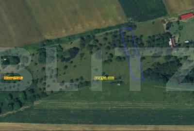 Teren de 1268 mp, în Mihai Viteazu - 6