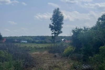 Teren de 13518 mp, în Marginea - 2