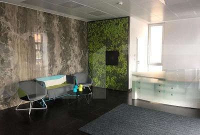 Birouri in cladire clasa A! - 31