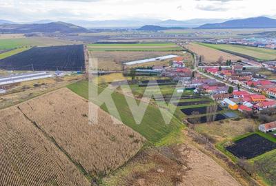 Teren 10000 mp in Extravilan, Bod, Brasov- COMISION 0% - 11