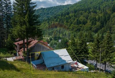REDUCERE PRET ! Casa de vacanta la Predeal locuinta sau investitie - 29
