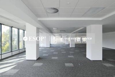 Spațiu comercial, de 390 mp, în Lujerului - 6