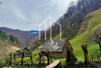 Teren de 12167 mp, în Câineni - 13