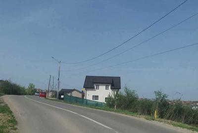 Spațiu comercial, în Săldăbagiu de Munte - 6