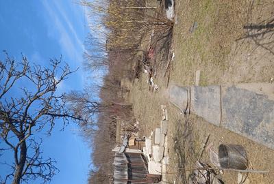 Vand casa Vand casa - 3