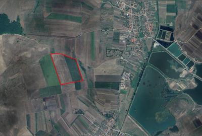 Teren agricol extravilan de 153474 mp, în Mărtiniș - 1