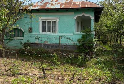 Casă cu 4 camere în Plopu - 5