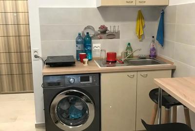 Se pune o garsoniera la etajul 1 la birint