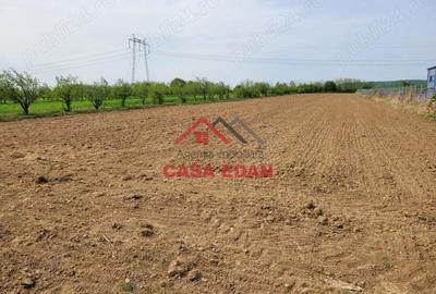 Teren extravilan in Banesti, 2400mp, 10e - 4