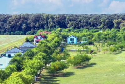 Teren Construcții intravilan de 1835 mp, în Afumați - 5