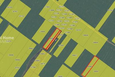 Teren agricol intravilan de 4230 mp, în Berceni - 2