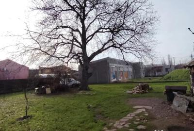 Teren de 493 mp, în Viile Noi - 1