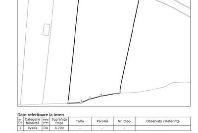 Teren constructii intravilan de 4700 mp, Baciu - Comision 0% - 5