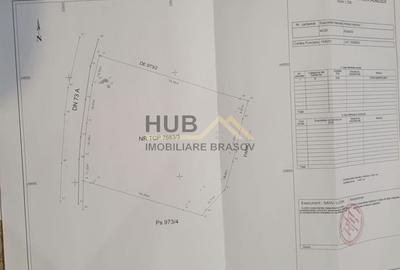 Teren agricol extravilan de 10035 mp, în Cheile Râșnoavei - 9