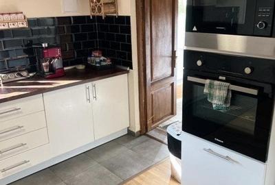 Cabana cu 4 dormitoare, foisor, ciubar, Statiunea Muntele Baisorii - 14