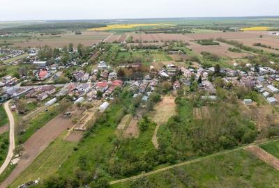 Teren Construcții intravilan de 6000 mp, în Ogrezeni - 14