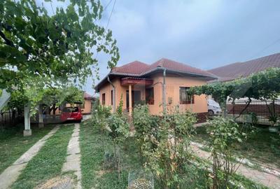 Casa solida pe Bld. Ecaterina Teodoroiu Targu Jiu - 1