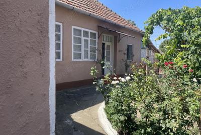 Vand casa in Sanmartinul Sarbesc - 2