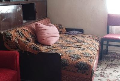 Basarabia, casa singur curte, locuit/diverse activitati - 2