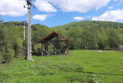 Spațiu comercial, în Gojeiești - 5