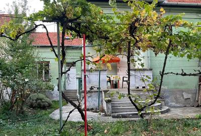 Vand casa singur in curte - 2