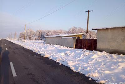 Teren de 5000 mp, în Bucovăț - 5