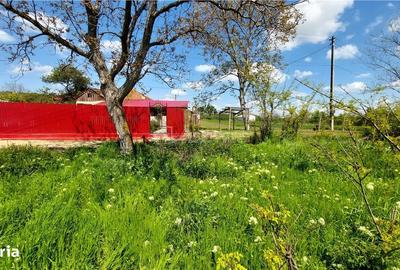 Teren de 509 mp, în Vernești - 2