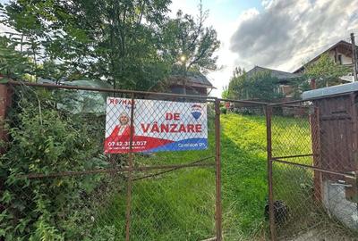 De vanzare GOSPODARIE in BUDESTI/ Maramures - 9