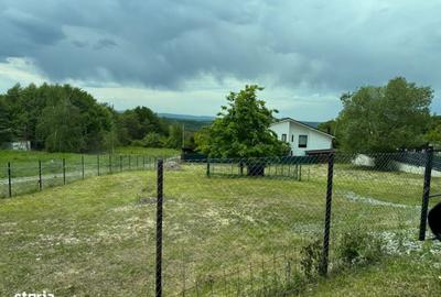 Teren de 1417 mp, în Făget - 4