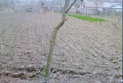 Teren în Central - 9