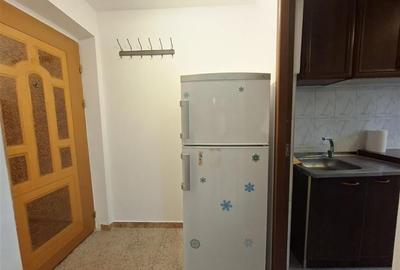 Podu Ros - Aleea Rozelor ap 2 camere mobilat, fara risc - 10