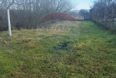 Casă de vanzare in Caransebes - 15