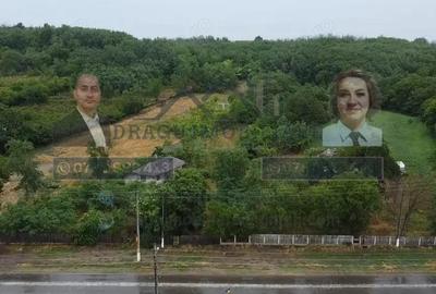 Teren intravilan cu utilita?i 3.000 mp / lot Slobozia Corni, comuna Ghidigen - 6