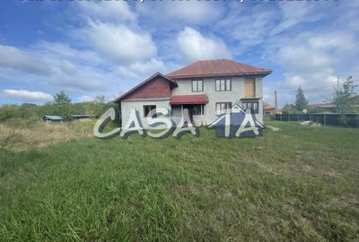 Casă individuală cu 5 camere cu Teren 9338 Mp în Dănești - 2