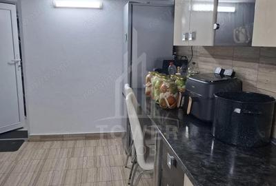 Casa de lux de vanzare Cartierul Tineretului - 21