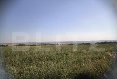 Teren 30.350 mp (600 mp intravilan) ideal investi?ie, C - 3