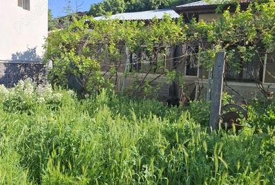 Propietar vand casa Bucurestii Noi,3 camere,140mp,deschidere 13mp,utilitati trase,teren constructie. Propietar vand casa Bucurestii Noi,3 camere,140mp,deschidere 13mp,utilitati trase,teren constructie. - 6