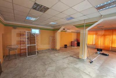 Casa de vanzare in Biharia - 12