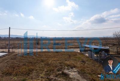 Casa de vanzare, Letea Veche, Sat Siretu - 8